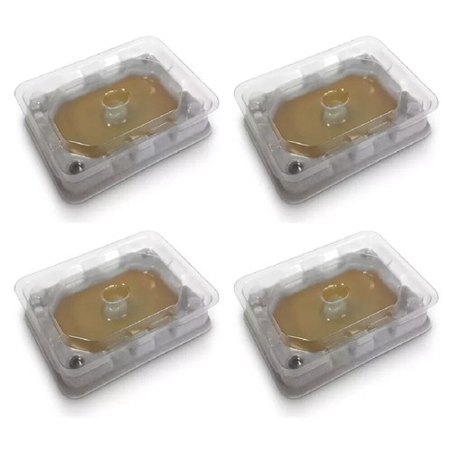 Bed bug trap detector traps - bed,