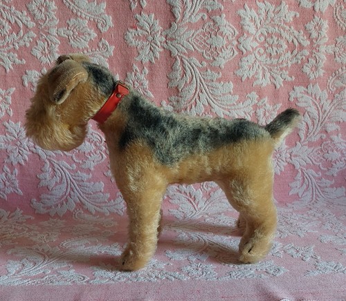 1950 steiff airdale - *1950's, 12"