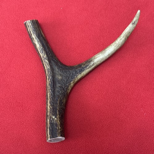 One piece deer antler y - piece, of