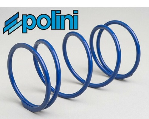 Polini torque spring for - spring,