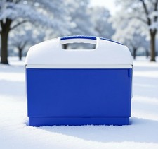 NEW 10.6 QT Outdoor Playmate