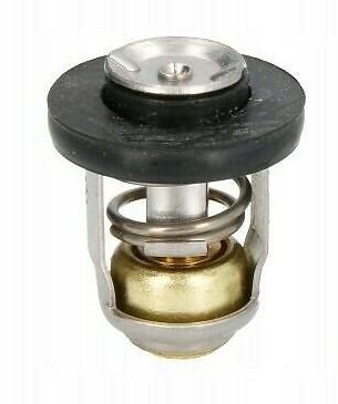 Thermostat for 8hp 9hp 15hp - for,