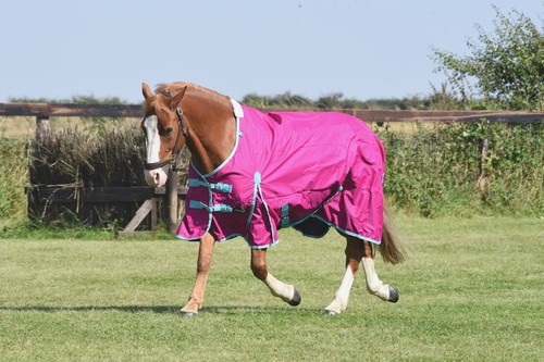 Horse turnout rug lightweight - rug,