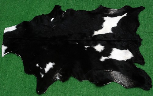 New goat hide rug - hair, on