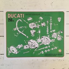 Ducati 250 Bevel Single Narrow