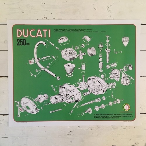 Ducati 250 bevel single narrow - 250,