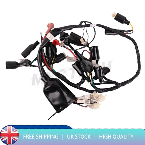 Main wiring loom - wiring,
