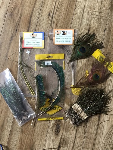 Miscellaneous peacock - miscellaneous,