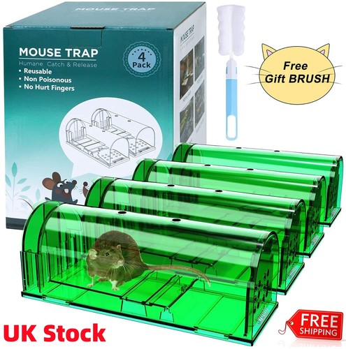 4pack humane mouse traps - humane,