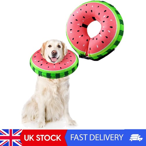 Inflatable dog collar - inflatable,