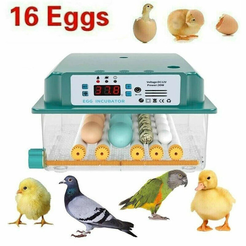 Digital egg incubator - digital,