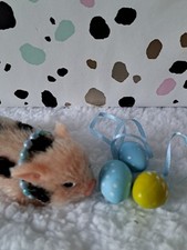 Micro Piglet Silicone Pig Pet  Easter Egg Special (No Pig Included)