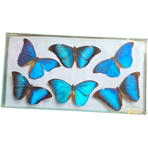 Vintage guyanese all blue - vintage,