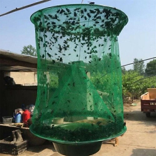 The fly ranch - trap,