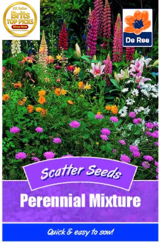 Perennial mixed flower seeds - perennial,