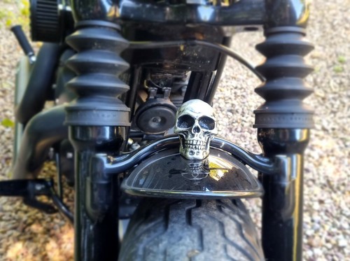 Big skull ornamental mudguard - big,