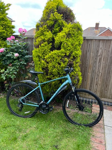 New cobalt blue - , nemesis