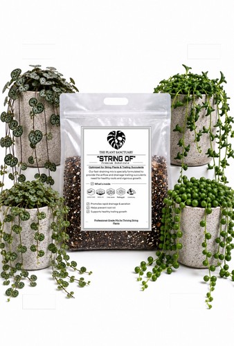 25l bioactive string pearls - 25l,