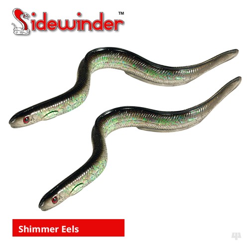 Sidewinder shimmer eels cod - eels,