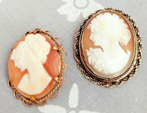 Gorgeous antique shell - shell, cameo