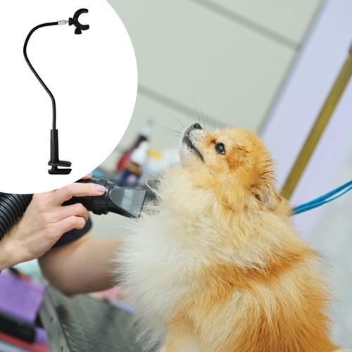 Dog hair dryer stand - dog,