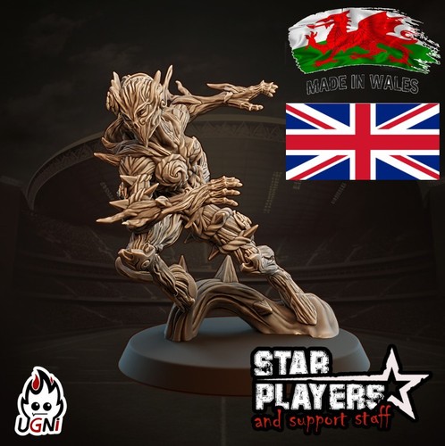 Fantasy football wood elf - fantasy,