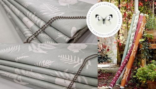 Vanessa arbuthnott fern - arbuthnott,