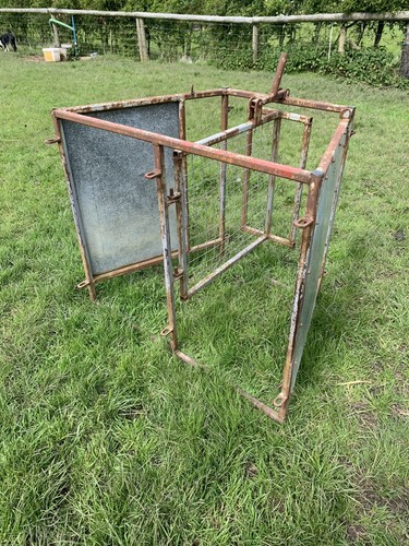 Sheep shedding gate - sheep,