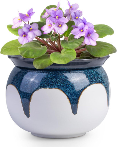 African violet pots inch - african, pots,