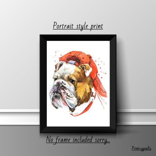 American bulldog dog pet - american,