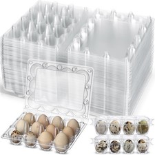40 Pcs Giant Quail Egg Cartons