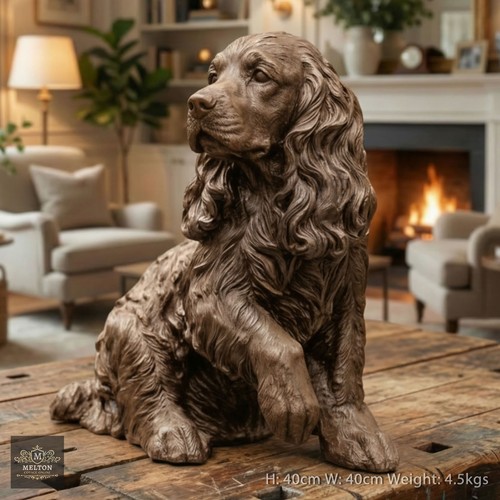 Stunning 40cm size - 40cm,