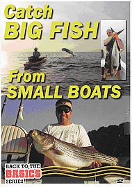 Catch big fish from small - big,