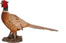 Vivid Arts - Pheasant Bird