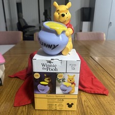 Winnie-the-Pooh Night