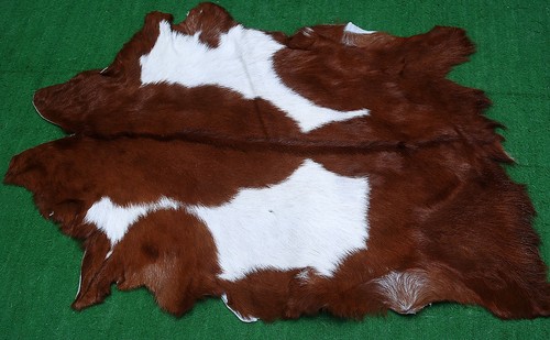 New goat hide rug hair - rug, area