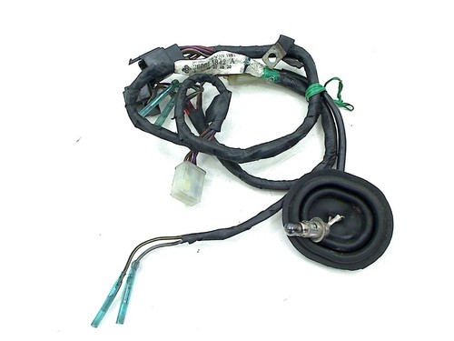 Wiring harness front - front,