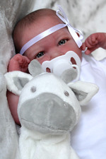 Realborn/reborn bundle of joy