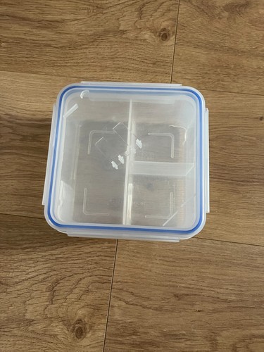 Tupperware container food - tupperware,
