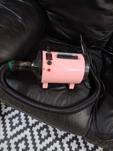 Pet dryer blaster - dryer,