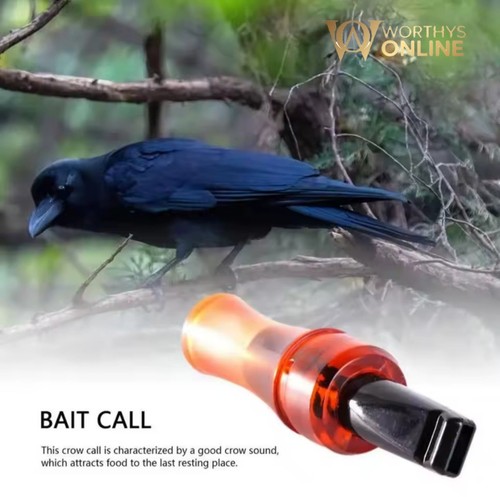 Crow rook call - crow,