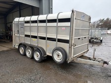ifor williams livestock
