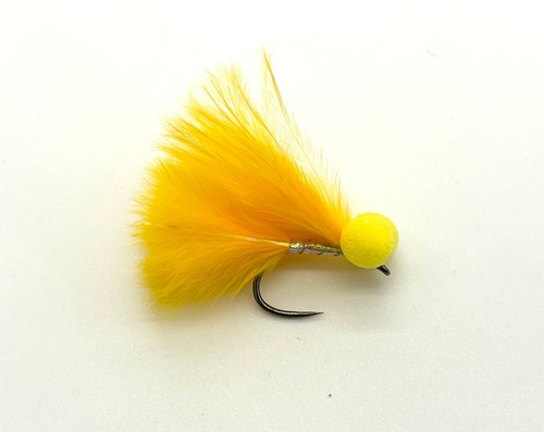 Sunburst booby trout - x,