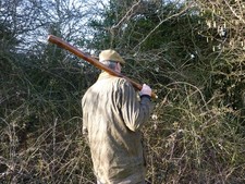 HUGE IRISH BLACKTHORN