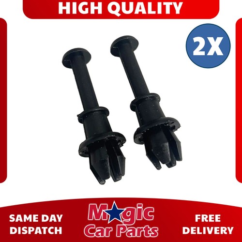 Parcel shelf clips - parcel, pins