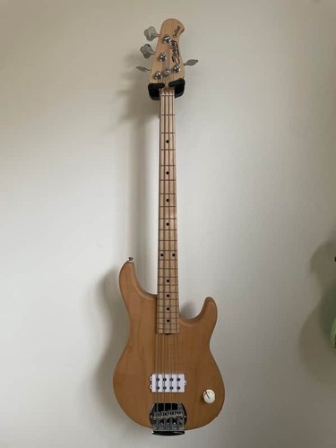 2024 sterling music man - man, joe