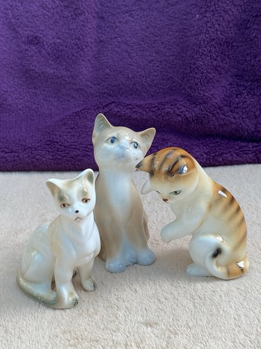 Vintage bone china - bone, siamese
