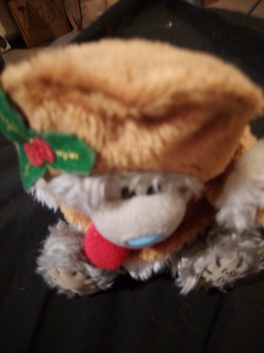 You tatty teddy - tatty,