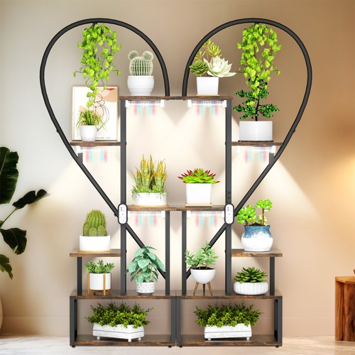 Heart shape plant - plant, stand