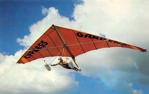 Delta wing kite florida - delta,